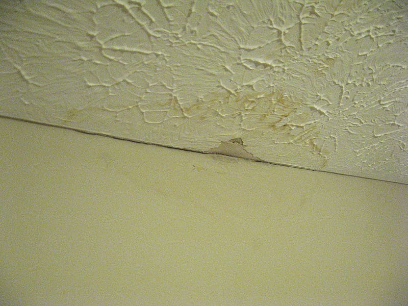5 Most Common Causes of Water Damage in Townhomes