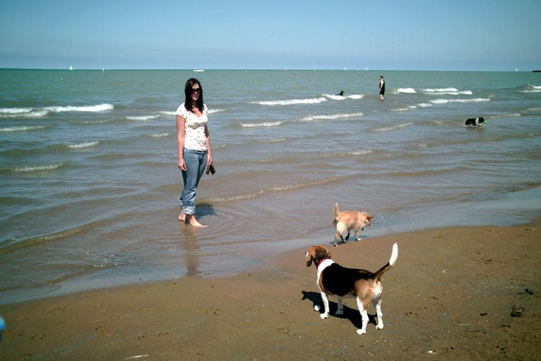 Montrose Dog Beach in Chicago