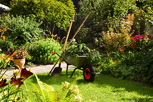 Spring Gardening Rules