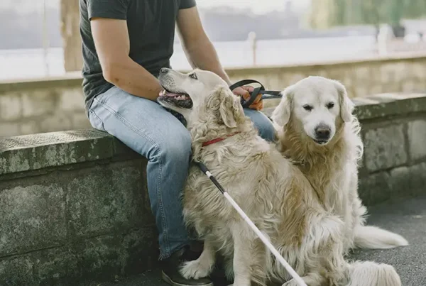 emotional support animals in hoa